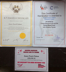 dog boarding services